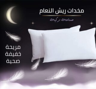 FB IMG 1691767916088