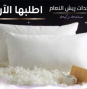 FB IMG 1691767933438