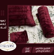 FB IMG 1745534901808