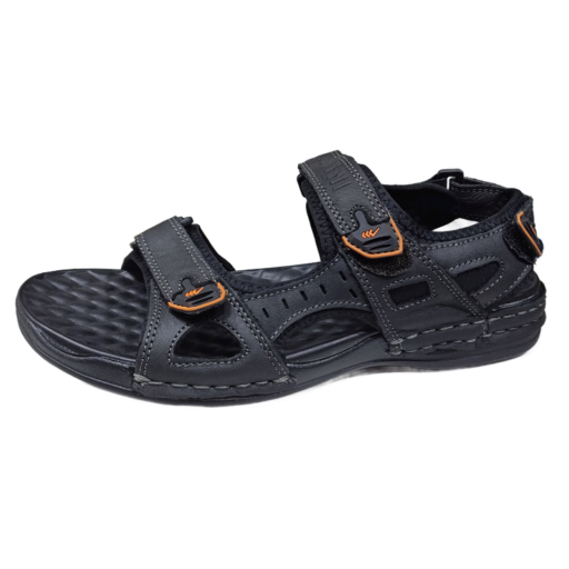 20260213 123244 copy 800x800 medium